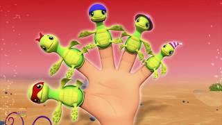 Turtle Finger Family | Nursery Rhymes Songs For Kids | Baby Songs