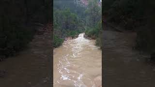 Les Terres de l'Ebre en alerta per forts episodis de pluja i tempesta