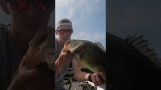 Big Fish On A Frog During A Tournament!