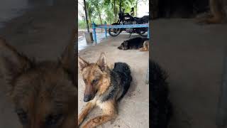 Raining after tauktae cyclone | Rain in gujarat #taukte