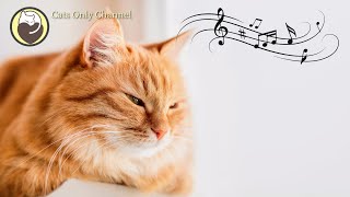 Cat Music for Peaceful Relaxation - Cat Purring Sounds + Soothing Sleep Music