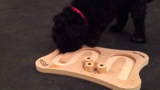 Nina Ottoson Puzzle Toys For Dogs