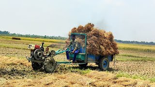 Small Boy VS Power Tiller // How the little boy diver tolly to load the paddy // Village Agriculture