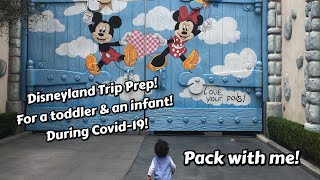 What to take for a Day at Disneyland with a Baby & a Toddler | Foster Family Travel