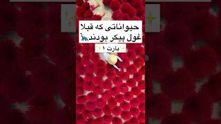 حیواناتی که قبلا غول پیکر بودند پارت ۱