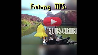 FISHING Tips#1 - Muddy/Dirty Waters #Shorts #fishing #bass #facts