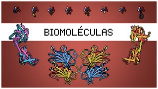 🧪 Biomoléculas - ¿De qué están hechos los seres vivos? 🐶🐱👩‍🔬👨‍🔬