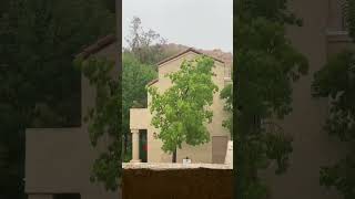 HURRICANE HILARY HITS SANTA CLARITA CA ☔️ 8-20-23 #hurricanehilary #hurricane #santaclarita #flood