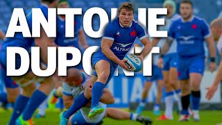 Antoine Dupont | Player of the Year | Montage 🇫🇷