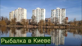 Рыбалка в Киеве / Street Fishing / Ловля щуки на Джиг-ригг.