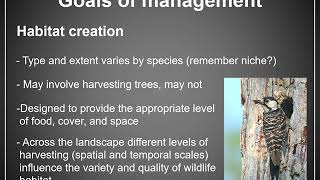 Lecture 10 Forest Management and Stewardship Part 3 Video