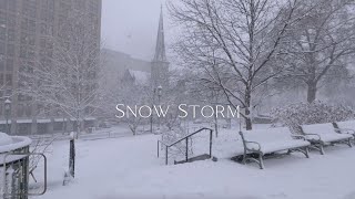 Snowy Walk in Downtown Harrisburg, snow storm, river walk | 4K 60fps | #snowwalk #snowstorm