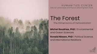 Natural Landscapes and Human Meaning - The Forest // The Dimensions of Deforestation