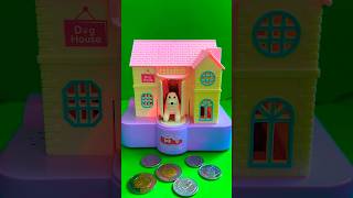 Bengal Dog jump in a bank collecting coins to kitchen in piggy bank #shortsfeed #viralvideo #short