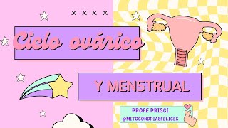 Ciclo ovárico y menstrual