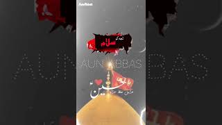 Share Husain as ka Azadar | حسینؑ کا عزادار | #aunabbas #shots