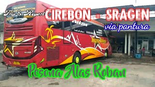 Sugeng Rahayu Mbah Oyen || Cirebon - Sragen Full Pantura || Pesona Alas Roban