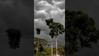 Cloudy Sky,Lovely Weather,Bangladesh🌧️🌨️#cloudysky #nature #beauty #bangladesh