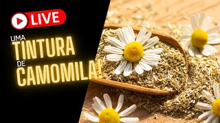 LIVE - Uma tintura de camomila!