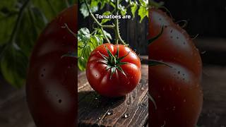 3 Interesting Facts About Tomato |Real Facts | Amazing Facts | #facts #tomato #fruit #food