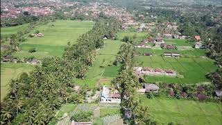 Sari Organik Ubud