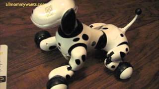 Zoomer The Interactive Robot Dog by Spin Master Review