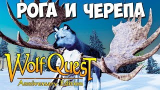 СБОР всех РОГОВ и ЧЕРЕПОВ! Как найти полную КОЛЛЕКЦИЮ! WolfQuest: Anniversary Edition # 124