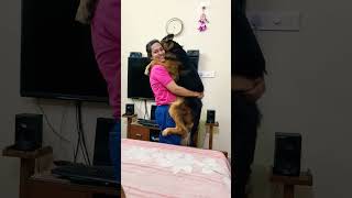 Dog attacks woman...