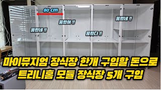 마이뮤지엄 장식장 하나 살 돈으로 트리니홈 모듈 장식장 5개 구입했어요 가성비 장식장 레고