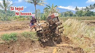 Si tejol bangkit dari kubur🤣...!! Traktor boxer meratakan tanah