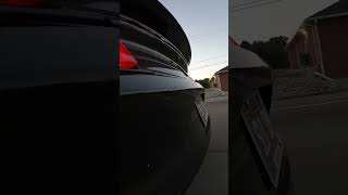 2016 Mustang GT Exhaust Clip!!