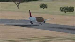 Multiple Landings at Madeira (Portugal)