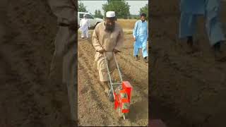 Manual seed planting 🌺🌹🌺🌹 #lizard #reptiles #animals #shorts #viralvideo