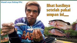 umpan ampuh untuk trolling kakap