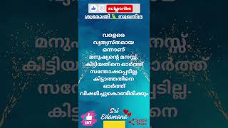 🇮🇳 🪷 ശുഭരാത്രി 🧡 സുഖനിദ്ര 💤 💕🦜 @sriedamana @rhythmoflove4422 #malayalam #trending #viralshort #quote