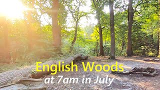 English Forest Walk - Virtual Scenery For Treadmill Workout - Walking Through The Woods