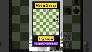 Telegram: Albinachess #chess #шахматы #chorts