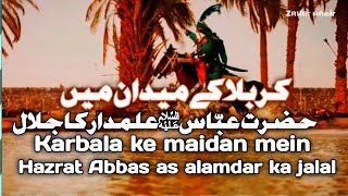 maidan e Karbala  Hazrat Abbas alamdar as #explore #muharram2024 #yaabbas