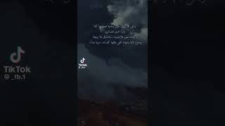 ١٩ يناير، ٢٠٢٤