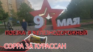 Путешествие в Подмосковье | Сорра в Fix Price| ПРОГУЛКА В ЖЕЛЕЗНОДОРОЖНОМ