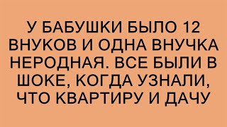 У бабушки было 12 внуков и одна внучка неродная. Все были в шоке, когда узнали, что квартиру и дачу