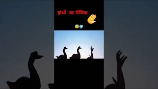 हांथों से बनाए पक्षी #tiktok #treanding #subscribe #viral #youtubeshorts #shivi