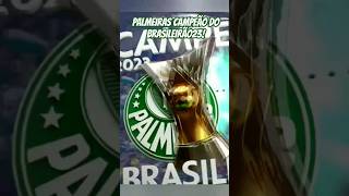 Palmeiras Campeão do Brasileirão23!