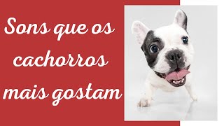 SONS QUE OS CACHORROS MAIS GOSTAM - DIVERSÃO PARA O ANIMAL