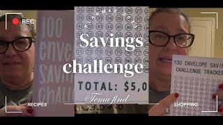 Planmas Day 5- Temu Find- 100 Envelope Savings Challenge