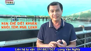 Quản lý môi trường tốt tôm ít bệnh | Nuôi tôm mùa lạnh