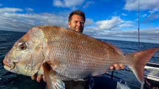 Westernport Snapper - Art of An Early Season Red.