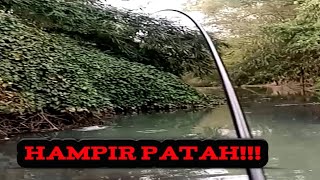 Joran Hampir patah!! Detik-detik umpan saya dimakan gabus Babon!! pake joran tegek!!!