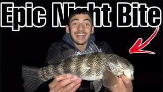 After Dark Angling: Southern California Harbor Night Fishing Fun