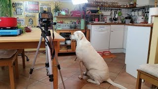 Behind the Scenes of Cooking Videos – Funny Moments (1000 subscriber special)